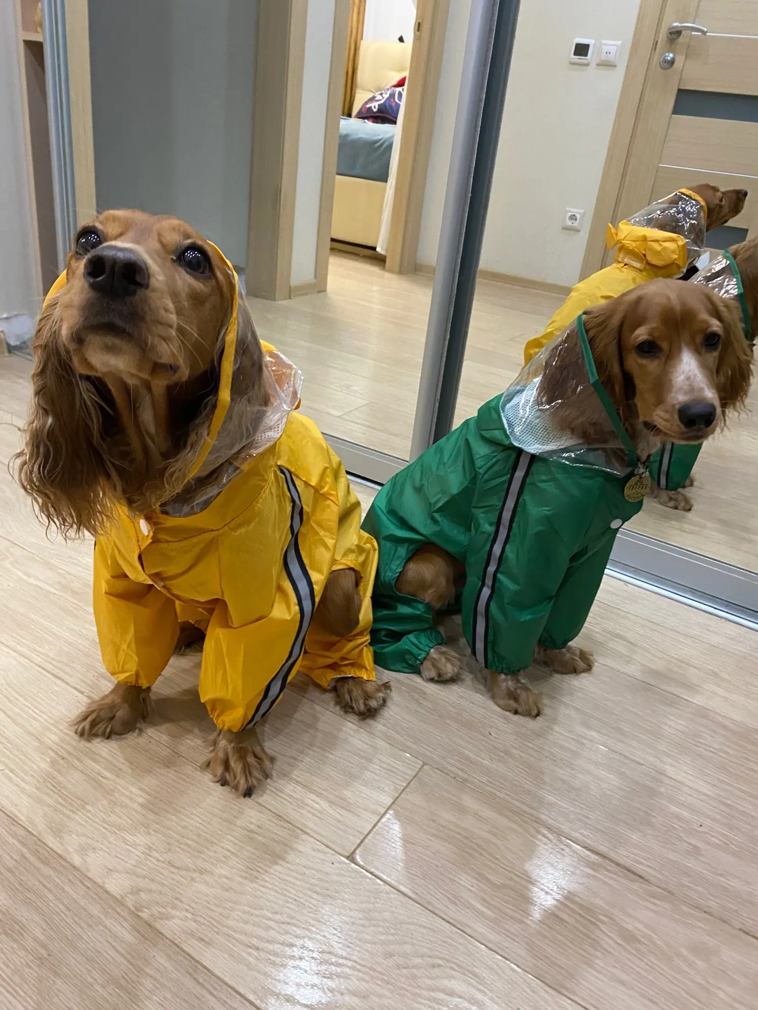 Dog Four-legged Bee Shaped Raincoat | Variety Size Raincoat for Dog with Harness photo review