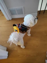 Novelty Halloween Dog Costumes Pet Clothes Cowboy Dressing up Jacket Coats for Dogs Funny