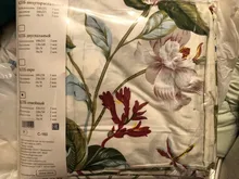 Breakaway Cat Collar Cute Bow Vests Cat Harness and Leash Cat Product Cat Accessories