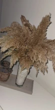 Pampas-Grass Reed Flower Wedding-Decoration Bunch Light-Color Natural Dried Christmas