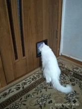 Pet-Gate Door-Kit Flap-Door Security-Lock Dog Cat Abs-Plastic Kitten with 4-Way for Small