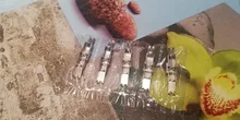 Cierre de acero inoxidable para pulsera de cuero y silicona, gancho de mandíbula de crimpado, cierre de banda para reloj, fabricación de joyas, bricolaje, 5 uds.