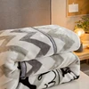 Thick Warm Fleece Blanket Winter bedroom quilts Sofa Nap blanket comfortable bedding comforter Washable Raschel blanket quilts 3
