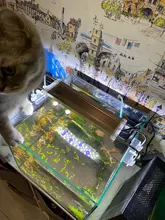 Led-Lighting Aquarium Chihiros Fish-Tank Aquatic-Plant Sunsun Ade Nicrew SMD 18W 220V