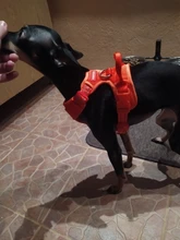 Adjustable Harness Dog-Accessories No-Pull-Vest Truelove Large Padded Pet-Dog Outdoor-Sport