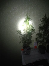 Flashlight-Torch Lamp Fishing-Headlight Usb-Rechargeable Mini Portable XPE COB