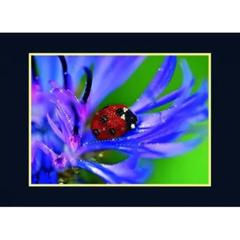 

Ks1043 set for making a picture with rhinestones 'in the shade of cornflower'