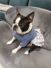 Dog-Dress Dogs-Skirt Yorkshires Chihuahau Winter Dot for Autumn