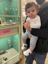 Nueva suave a rayas niños directo Niña Zapatos bebé Zapatos de deporte zapatos para correr en primer lugar los caminantes niño chico zapatillas de deporte Bebé en primer lugar los caminantes