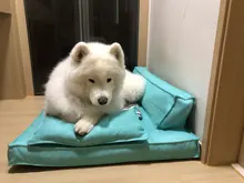 Cat-Bed Couch Sofa Dogs Ufbemo Removable-Cover Memory-Foam Puppy Pets Small Large Waterproof