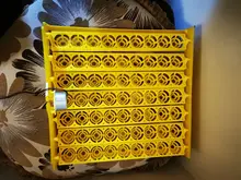 Incubation-Equipment Poultry-Incubator Turn-Tray Chickens-Ducks Automatically-Turn-Eggs