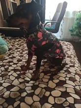 Dog Vest Pet-Supplies Down-Jacket Puppy Chihuahua Winter Windproof Small Warm Apparel