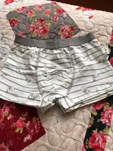 Ropa interior de algodón para niños, pantalones cortos de dibujos animados, bragas para bebés, bóxers a rayas, HH, 3 piezas
