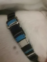 Collar de nailon para perro, personalizado con placa de etiqueta de identificación grabada para mascota, reflectante, perros pequeños, medianos y grandes