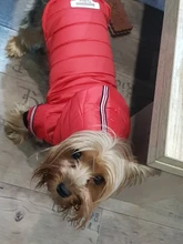 Small Dog Clothes Winter Warm Pet Dogs Coat Jacket Puppy Cat Outdoor Clothing Hoodies