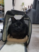 Carrier-Bag Pets-Handbag Pet-Puppy Dog Chihuahua Breathable Mesh Cat