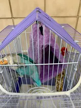 Pet Parrot Hammock Bird Hanging Bed House Plush Winter Warm Cage Nest Tent