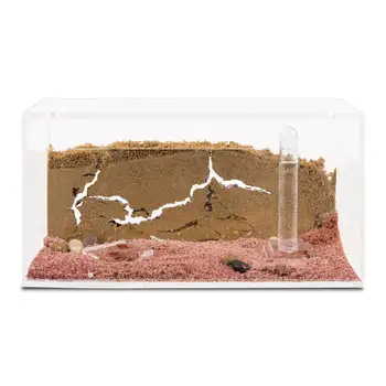 

Ant Farm with free Ants and Queen - Educational formicarium for LIVE ants