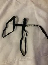 Arnés y correa para cachorros y gatitos, cinturón de tracción ajustable para animales, cuello Halter para gatos y gatitos, sin cartón