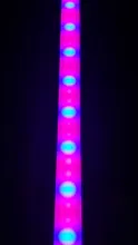 Grow-Lamp Sunlight Imitating Young-Plants Uv-Growing Full-Spectrum Indoor LED DC 5V 3W