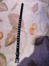 Necklaces-Accessories Collar Puppy-Products Chat Kitten Kota Small Traumdeutung for Pet-Dog