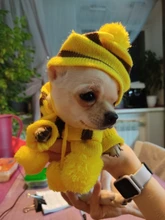 Pet-Puppy-Accessories Socks Hats Cat-Products Dogs-Knitted Small Chihuahua Little Winter