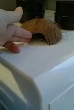 Nest Hamster-House Hiding-Cage Coconut-Shell Small Animal Reptiles Cave Spider Natural