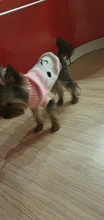 Dog Winter Sweater Pet-Dog Puppy-Cat Knitted Chihuahua for Small Clothing Ropa-Perro
