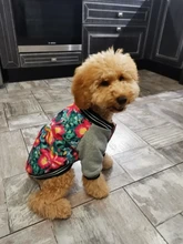 Jacket Costume Coat Bulldog-Clothes Small Dog Pug French Winter Pet-Dog Warm Cute 