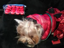 4 unids/set zapatos para perros de invierno de perro caliente botas de nieve zapatos de cuero de la PU para perros pequeños perros Chihuahua impermeable antideslizante cachorro para mascotas zapatos