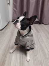 Small Dog Clothes Winter Warm Pet Dogs Coat Jacket Puppy Cat Outdoor Clothing Hoodies