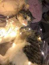 Light-String Garland Copper-Wire-Lights Battery-Power Festoon Fairy LED Christmas Wedding