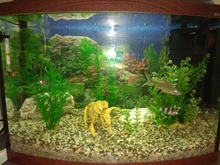 Oxygen-Pump-Accessories Aeration-Tube Air-Diffuser Bubble-Wall Aquarium Fish-Tank Pollution