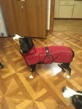 Jackets Dog-Coats Outdoor Winter Pet-Dog Dogs Large Medium for Warm Clothing Kurtka Ubranka