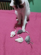 Pet-Toys Tail-Mice False-Mouse Sound Cat Real-Rabbit-Fur 5pcs Soft with for Dogs Long-Haired