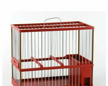 

Cage single SILVESTRISMO cage contest and singing