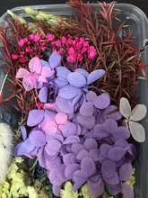 1 caja de hojas de flores prensadas reales, resina de margaritas secas, calcomanías de belleza para uñas, moldes de epoxi, embellecedores para fabricación de joyas