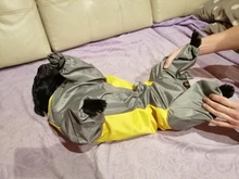 Mono impermeable para perro mascota, ropa impermeable para exteriores, mono con capucha para perros pequeños y grandes, capa impermeable, Bulldog francés