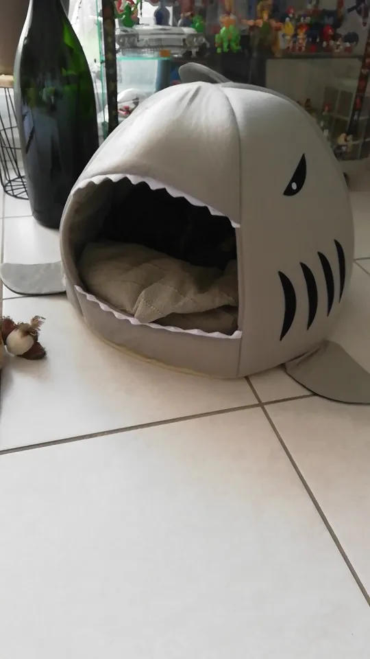 Shark Dog Bed Shark Cat Bed Shark Cat House Shark Dog House