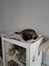 Cama de invierno para perros y gatos, esterilla lavables suaves de lana, cojín para mascotas, casa cálida, manta para dormir para perros pequeños y grandes, estera de gatos