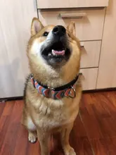 Personalized Fabric Super Strong Durable Martingale Collars for Dogs Heavy Duty Duty