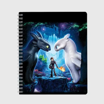 

Notebook how to tame the Dragon