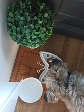 Bowl Food-Plate Slow-Feeder Anti-Choking Pet-Dog Puppy-Cat-Eating Plastic New