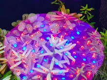 Grow-Light Lamps Timer Flowers Desktop-Clip LED Phyto Full-Spectrum For Plants DC5V USB