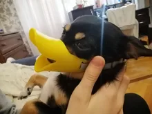 Bozal de silicona para perros, máscara bozal antimordida para perros pequeños y grandes, boquillas para la boca, accesorios de mascota perro