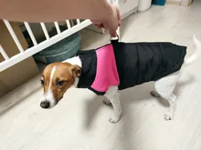 Coat Jacket Puppy-Vest Dogs Waterproof Winter Medium Pet-Dog Zipper Small Large Warm