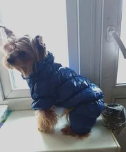 Ropa de abrigo para Perros Bulldog Francés, Ropa de cachorro, Chihuahua, yorkie, abrigo de perrito mascota, chaqueta, perros, mascotas