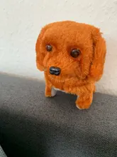 Juguete electrónico para pasear mascotas, juguete electrónico para niños, luz musical, para dejar de lloro, llama la atención, divertido