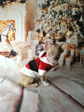 Costume Jackets Yorkie-Outfit Cat-Clothing Puppy Small Dogs Coat Hooded Pet-Dog Winter Dog