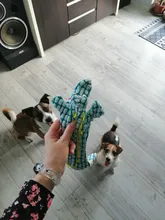 Perro de peluche de cocodrilo creativo, juguete pequeño y mediano masticable para perros, juguetes para cachorros, accesorios